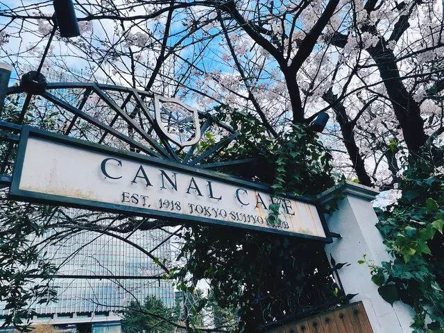 飯田橋canal Cafe お花見完全攻略 行列に並ばず楽しんできました ローリエプレス