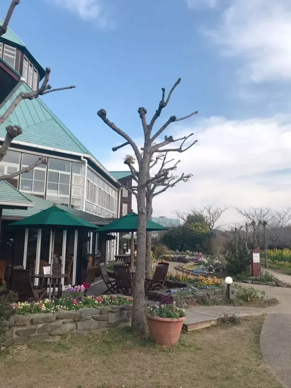 自然とグルメがいっぱい 癒しを求めて千葉県 南房総 館山へプチ旅行 彡 Tokyopanda のオススメ情報 ローリエプレス