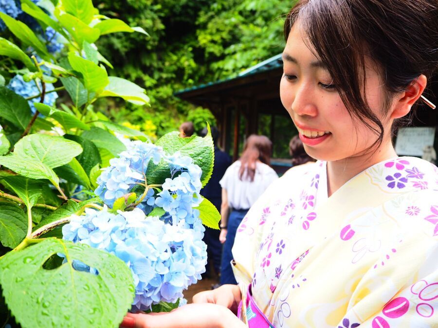 夏着物で鎌倉女子旅がとっても映え♡  紫陽花が見たいならいまが見頃♡の13枚目の画像