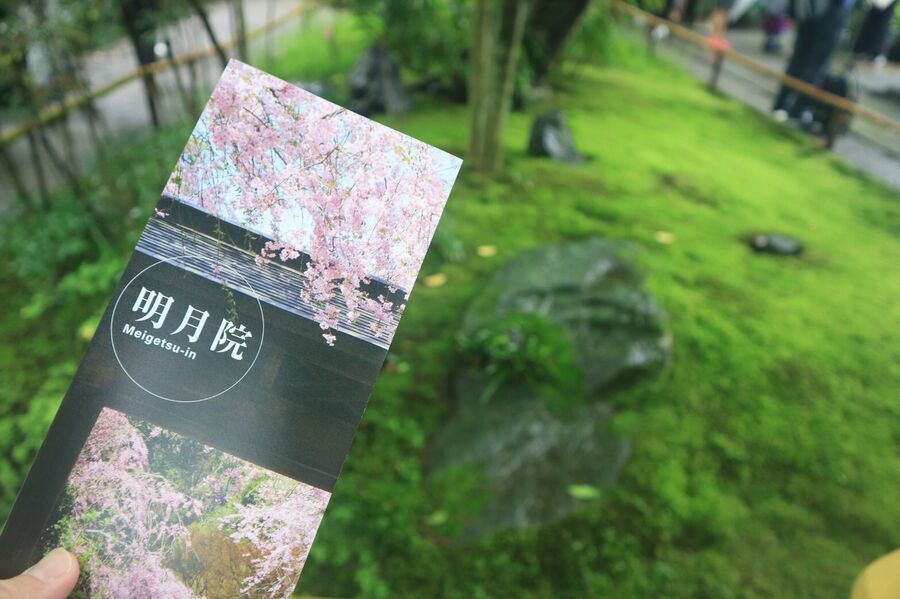 夏着物で鎌倉女子旅がとっても映え♡  紫陽花が見たいならいまが見頃♡の6枚目の画像