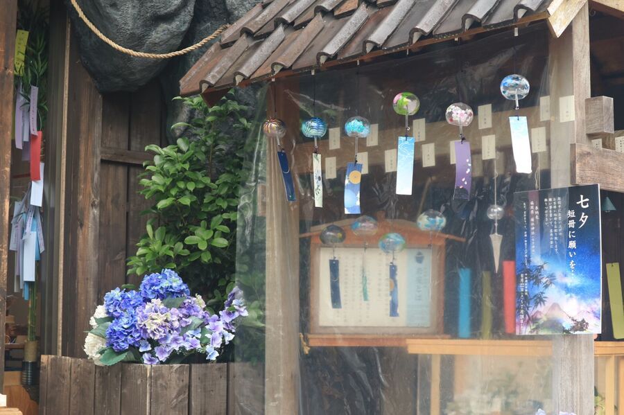 夏着物で鎌倉女子旅がとっても映え♡  紫陽花が見たいならいまが見頃♡の22枚目の画像