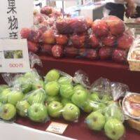 東京駅で長野県復興支援イベント開催。「ながの果物語り新幹線マルシェ」で、おいしいりんごを購入しよう！