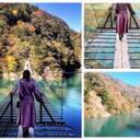 【#静岡】《夢の吊り橋×秋･紅葉》美しすぎるミルキーブルーの湖と紅葉のコントラストにうっとり♡湖上の吊り橋で空中散歩気分˚✧₊