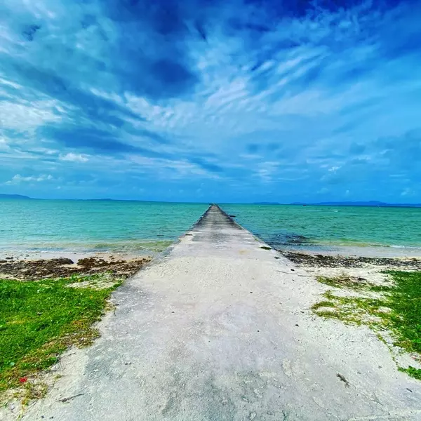 laurier press ローリエプレス エキサイト