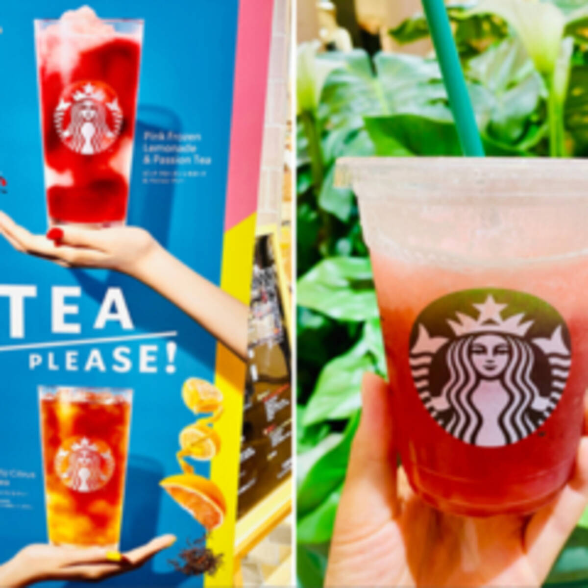 スタバ新作 驚異の低カロリー 夏感満載 ピンクフローズンレモネード は絶対飲んで ローリエプレス