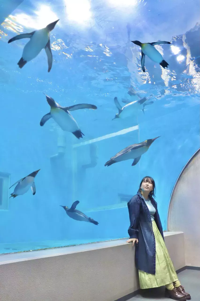1 楽しめる 可愛すぎる福井の旅 ローリエプレス