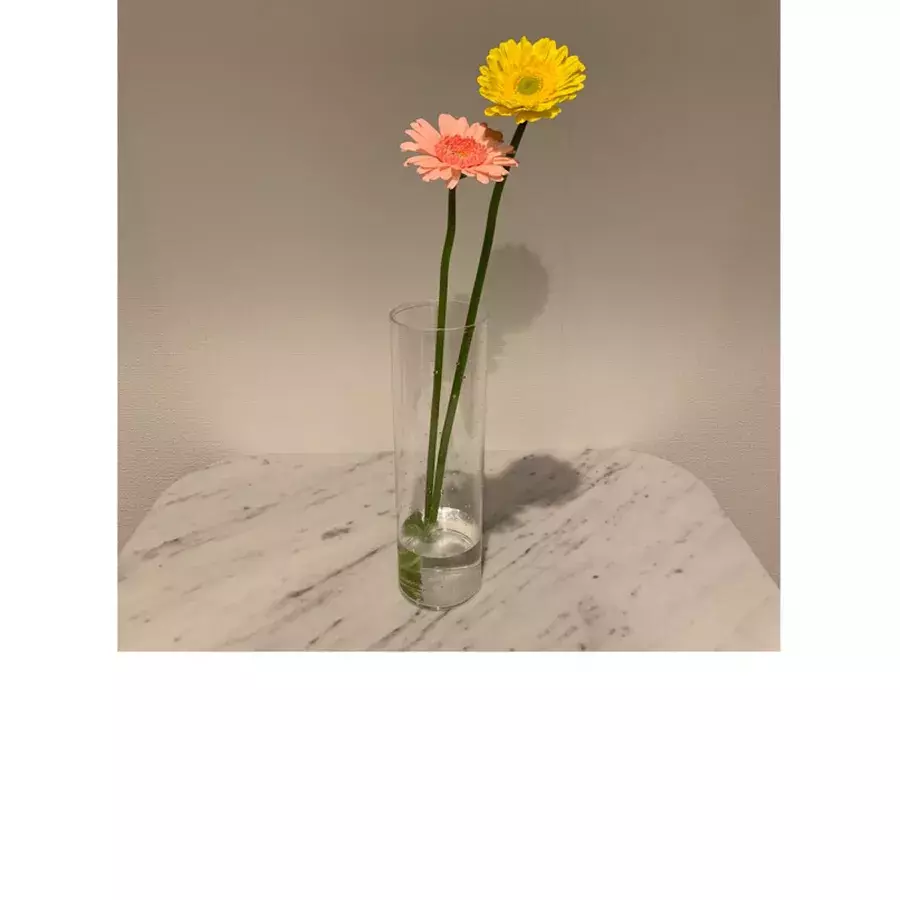 割れない花瓶 キャンドゥ 100均で買える おしゃれな花瓶 実は なんです ローリエプレス