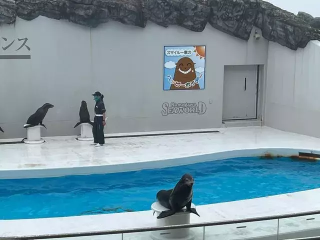 水族館 今月も鴨川シーワールドへ行ってきました 身に付けていった物とお土産も ローリエプレス 水族館 今月も鴨川シーワールドへ行ってきました 身に付けていった物とお土産も ローリエプレス
