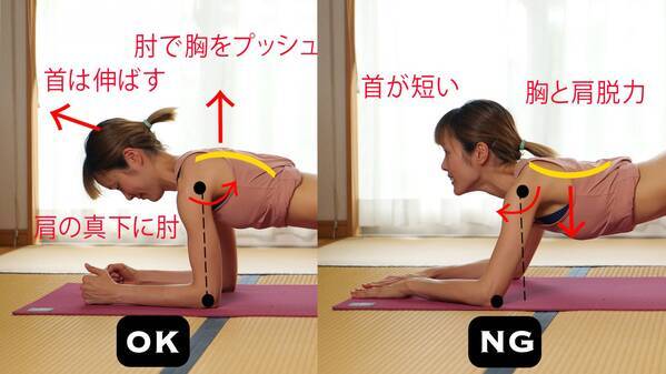 効果的な期間や時間帯は 女性向け プランク の基本 ローリエプレス