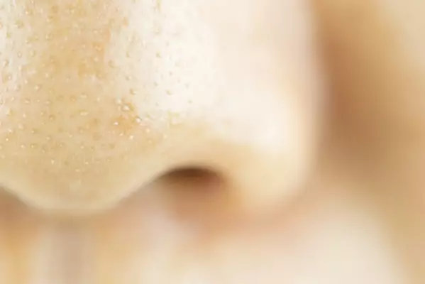 いちご鼻なんとかしたい 鼻の毛穴 角栓に効く おすすめコスメ5選 ローリエプレス