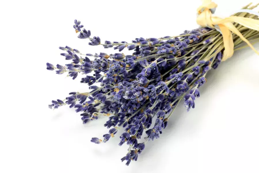 もらったお花どうしてる 記念に残したい人必見 ドライフラワーの作り方 ローリエプレス