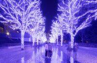 冬デート、行くならどこ？　ラブラブ度が高まる東京近郊のおすすめイルミ