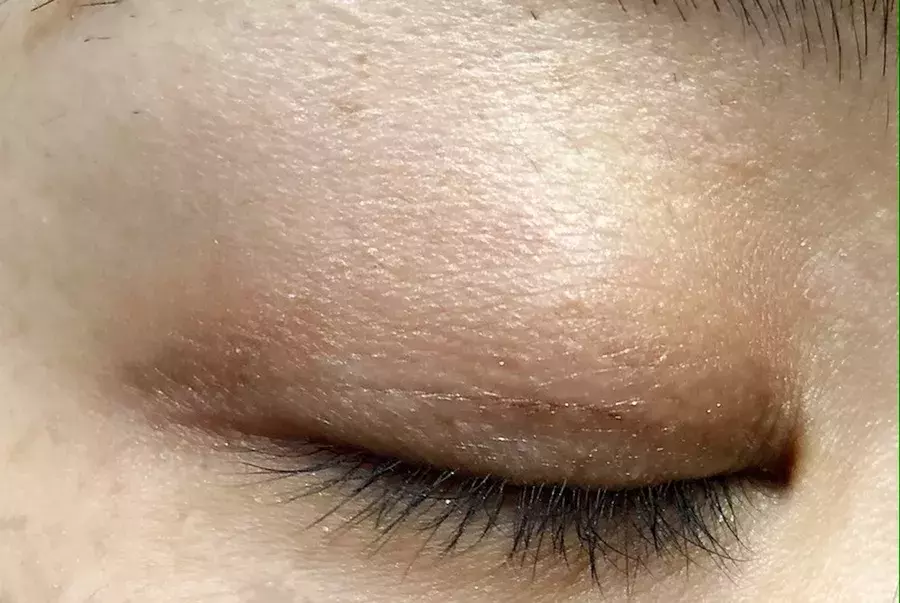 キャンメイクvsセザンヌ 600円で買える上品なツヤ 3色アイシャドウを徹底比較 ローリエプレス