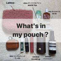 【What's in my pouch？】shiro、mac、Aesopなどなど、、、！持ち歩きポーチの中身紹介！