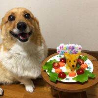 【大切な家族】愛犬の誕生日をもっと特別に！