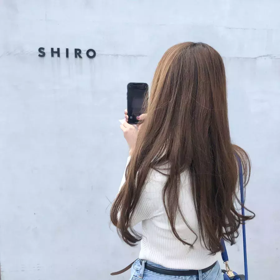 砂川カフェ 北海道ドライブにおすすめshiro Cafe ローリエプレス