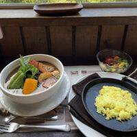 【北海道】自家製野菜がたっぷり！北海道でスープカレーを食べるならここ！
