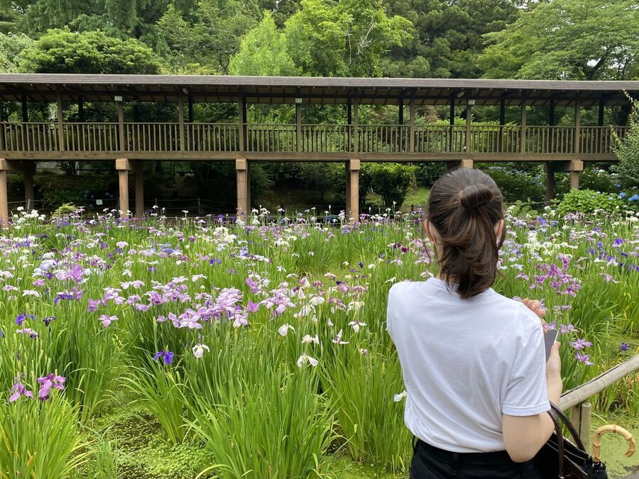 【千葉県】今が見頃！紫陽花が綺麗な映えスポットをご紹介！の5枚目の画像