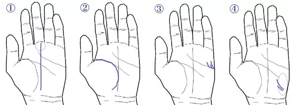 手相占い 周囲を明るくする 社交的な人 が持っている相 ローリエプレス