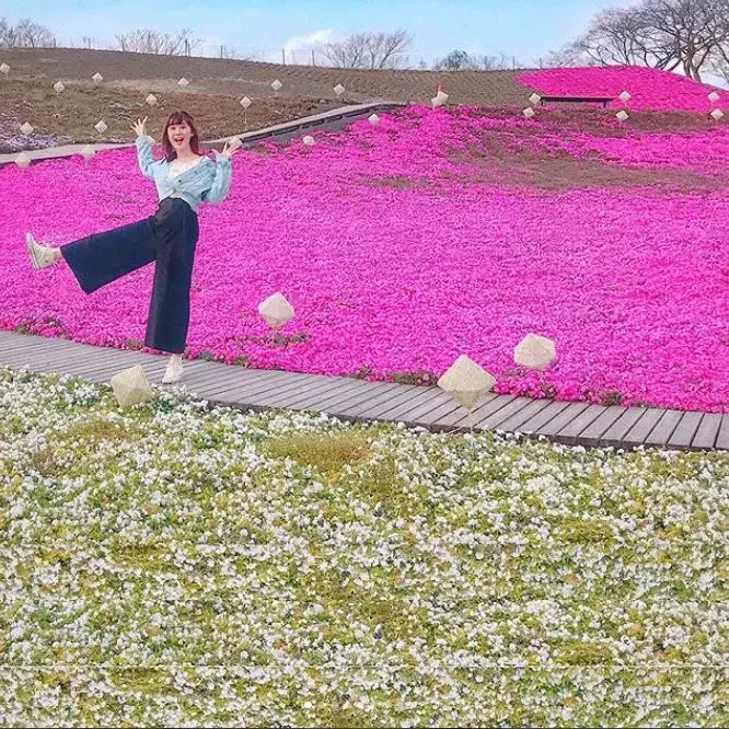 インスタ女子が厳選 関東近郊の可愛すぎるお花畑スポット7選 ローリエプレス インスタ女子が厳選 関東近郊の可愛すぎるお花畑スポット7選 ローリエプレス