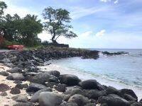マウイ島のおすすめシュノーケルスポット「アヒヒ・キナウ保護地区」