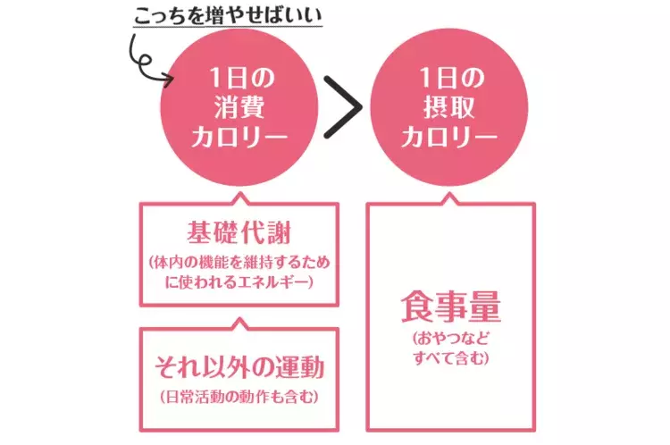 食べ過ぎた ときは3日で調整がルール 帳尻合わせダイエット ローリエプレス