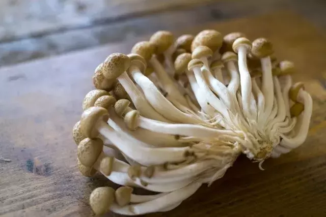 銀杏の読みは ぎんなん だけじゃない 秋にまつわる難読漢字クイズ ローリエプレス