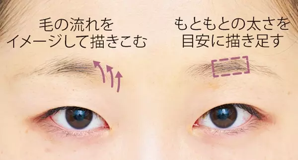 私の眉毛 薄すぎ マロ眉さんの アイブロウ術 を徹底解説 ローリエプレス