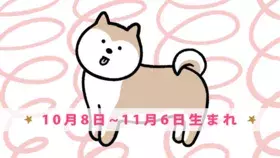 今月の守護動物占い イヌ 10月8日 11月6日生まれ の愛と運勢 ローリエプレス