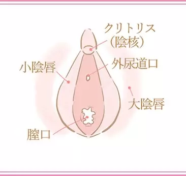 セックスでイケないのはなぜ オナニーではイケるのに彼とではイケない ローリエプレス