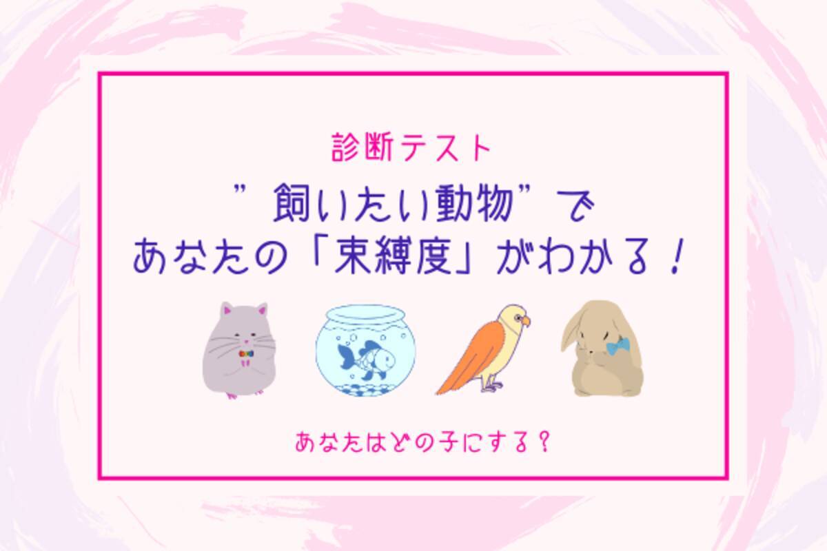 あなたはどの子にする 飼いたい動物 でわかる あなたの束縛度 診断 ローリエプレス