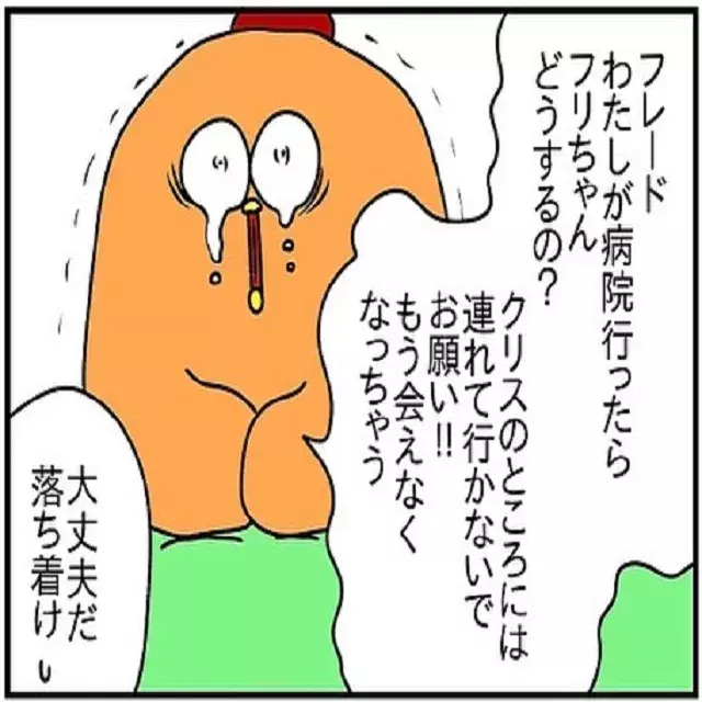 私の体調を知ったフレードが救急車を要請 しかし 私は息子が夫の元へ行ってしまうのではないかと不安で ドイツで交際結婚そして国際離婚する話 Vol 132 ローリエプレス