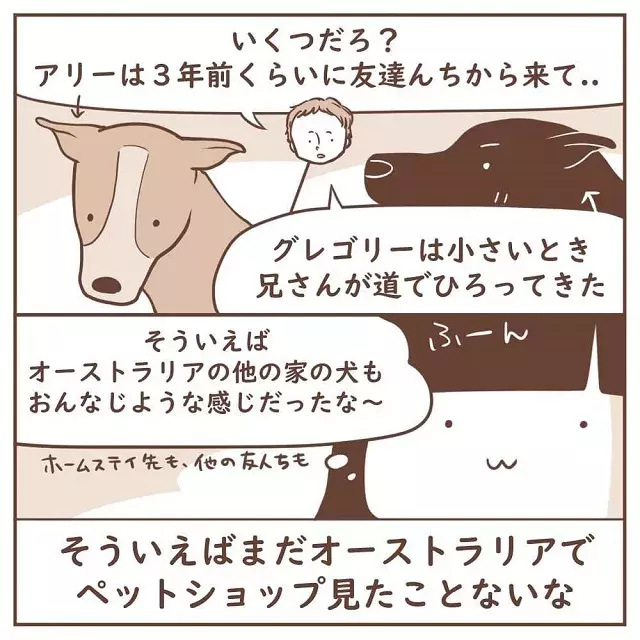 知らなかった オーストラリアで ペットショップを見ない理由 に気づいた私は 海外で同い年オージーに恋をした話 6話 ローリエプレス