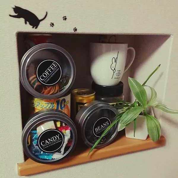 小物収納やディスプレイにも ダイソーのマグネットケース ローリエプレス