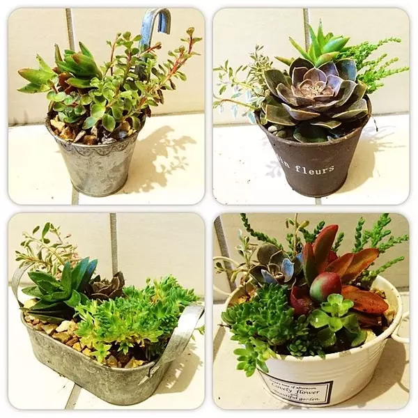 レトロなデザインが魅力 種類豊富なセリアのブリキバケツ ローリエプレス