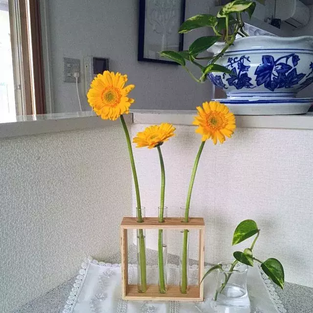 応用しだいで立派なインテリア シンプルなダイソー試験管 ローリエプレス