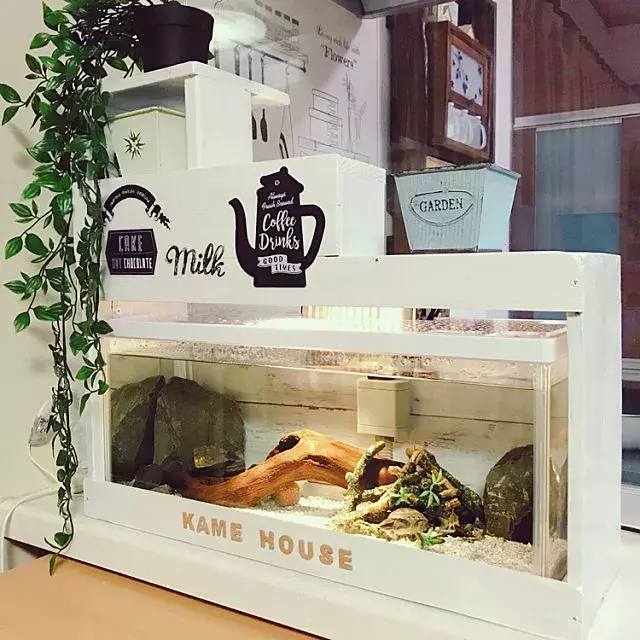 涼しげな水槽の世界に癒される アクアリウムのある暮らし ローリエプレス