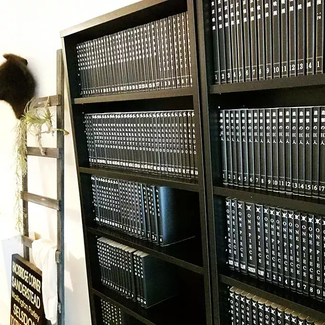 こんな方法あったんだ 漫画収納 おすすめアイデア10選 ローリエプレス