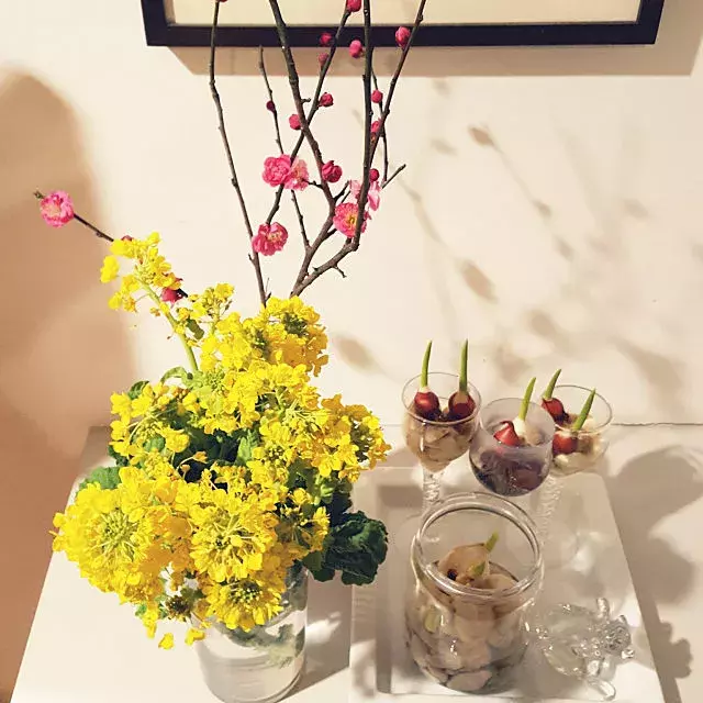 あなたは何をどう飾る こだわりの玄関ディスプレイ ローリエプレス