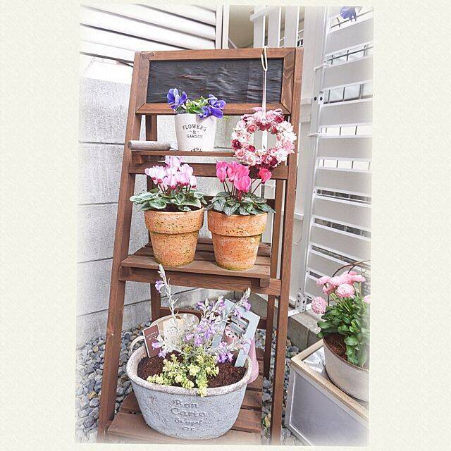 華やかなお庭に変身 ニトリのおすすめガーデンアイテム ローリエプレス