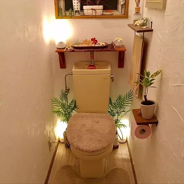 フレッシュに華やかさを演出 トイレでの観葉植物の飾り方 ローリエプレス