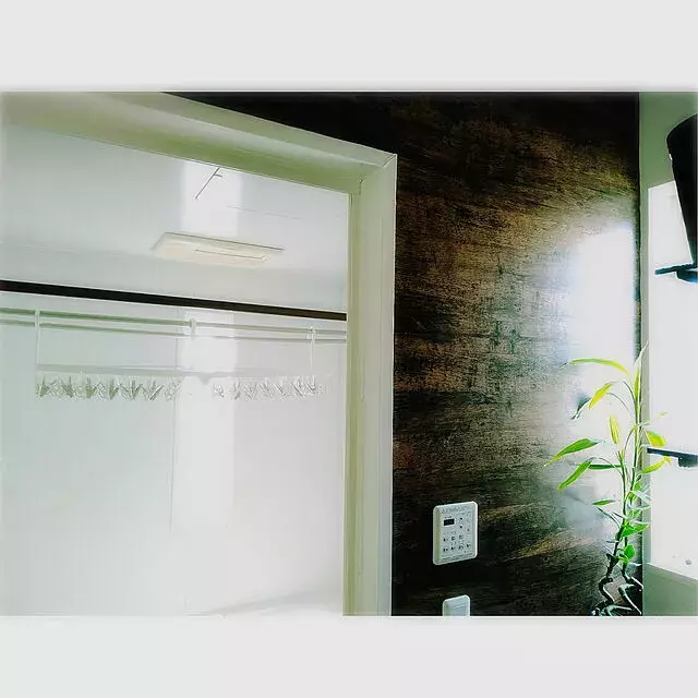 毎日の洗濯をラクにしてくれる 干し方 部屋干しアイデア ローリエプレス