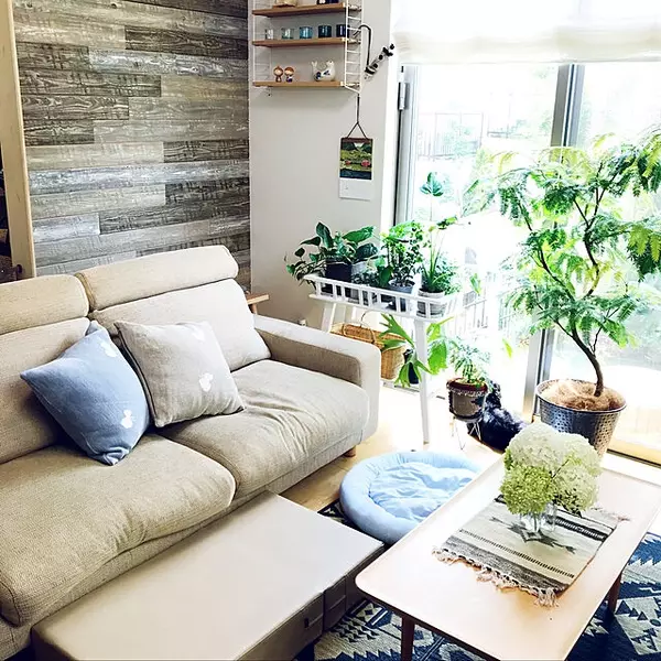 自分らしい快適なお部屋作りに 無印良品の優秀ソファ ローリエプレス