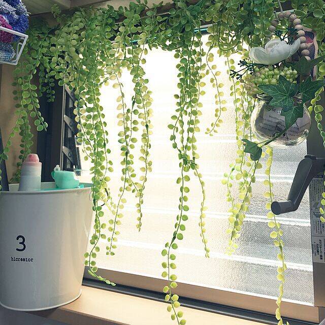 癒しをインテリアにプラス ダイソーのフェイクグリーン ローリエプレス