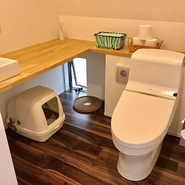 どこにどうやって置いてる 猫トイレの収納場所アイディア ローリエプレス