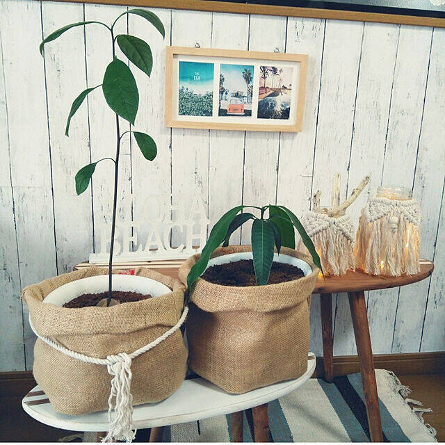 インテリアに合わせて簡単リメイク 自分で作る鉢カバー ローリエプレス