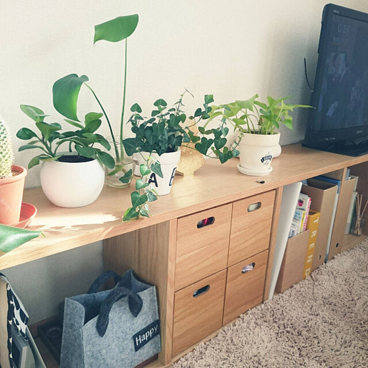 ひとり暮らしの味方 無印良品のインテリアアイテム10選 ローリエプレス