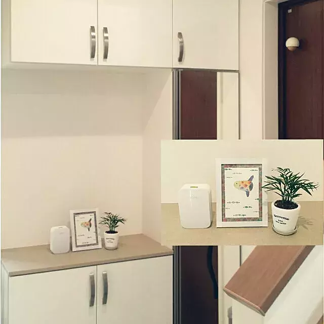 困った虫を寄せ付けない 室内やお家まわりの虫対策10選 ローリエプレス