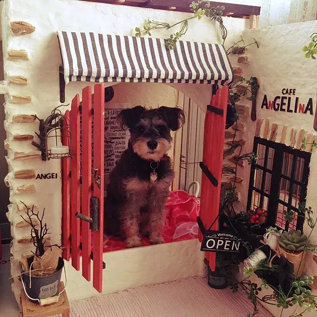 ペットも心地よく暮らせるお家へ 室内での犬小屋diy実例 ローリエプレス
