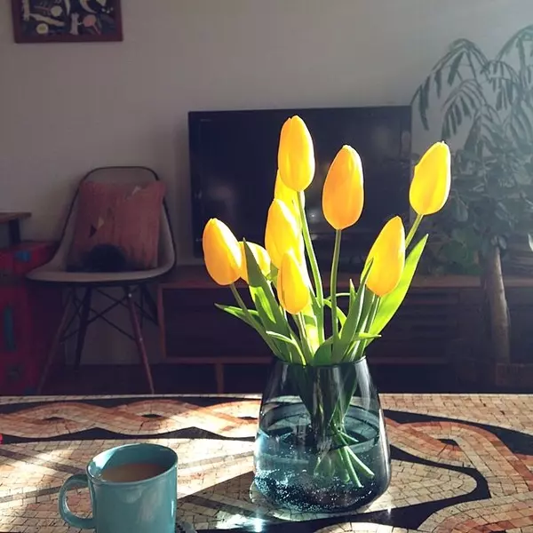 お部屋に温もりと彩りを 冬のインテリアに飾りたい切り花や枝物 ローリエプレス